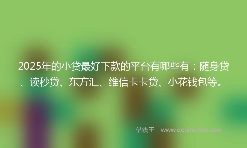 2025年的小贷最好下款的平台有哪些有：随身贷、读秒贷、东方汇、维信卡卡贷、小花钱包等。