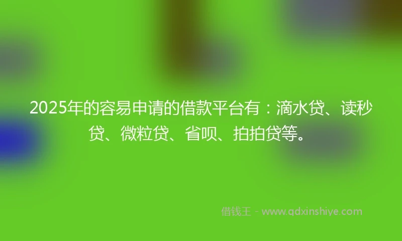 2025年的容易申请的借款平台有：滴水贷、读秒贷、微粒贷、省呗、拍拍贷等。