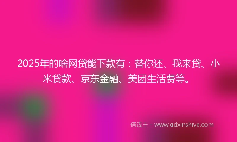 2025年的啥网贷能下款有：替你还、我来贷、小米贷款、京东金融、美团生活费等。