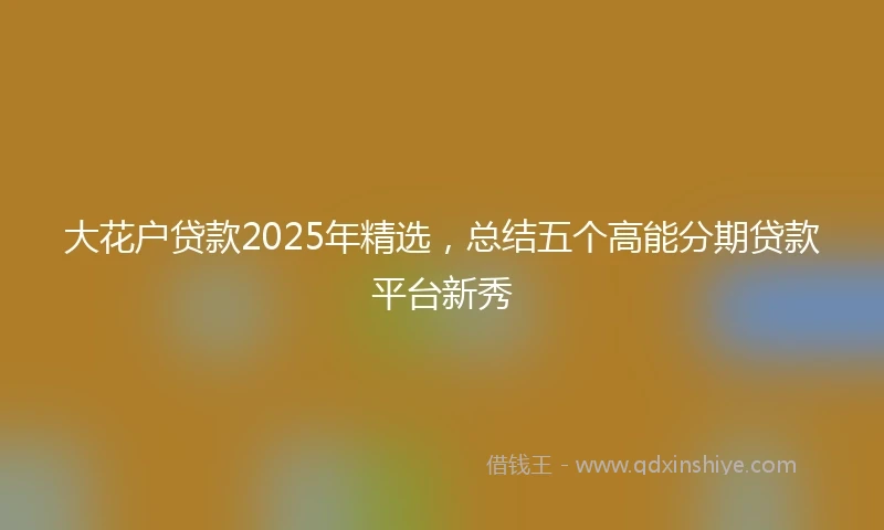 大花户贷款2025年精选,总结五个高能分期贷款平台新秀