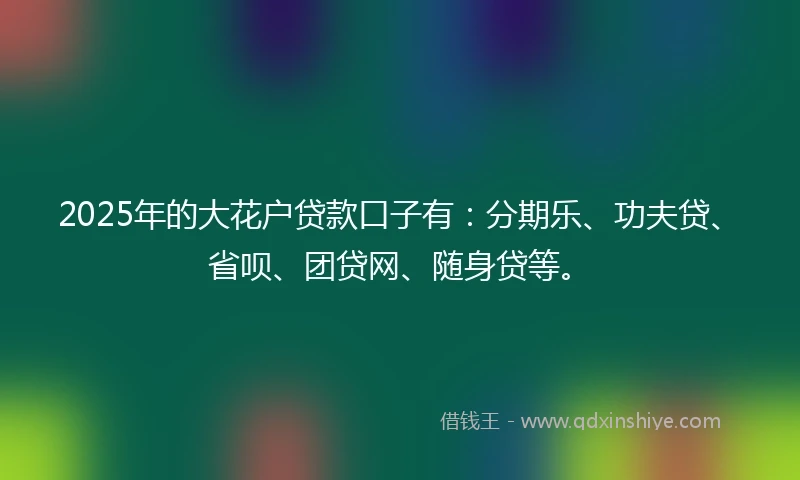 2025年的大花户贷款口子有:分期乐、功夫贷、省呗、团贷网、随身贷等。
