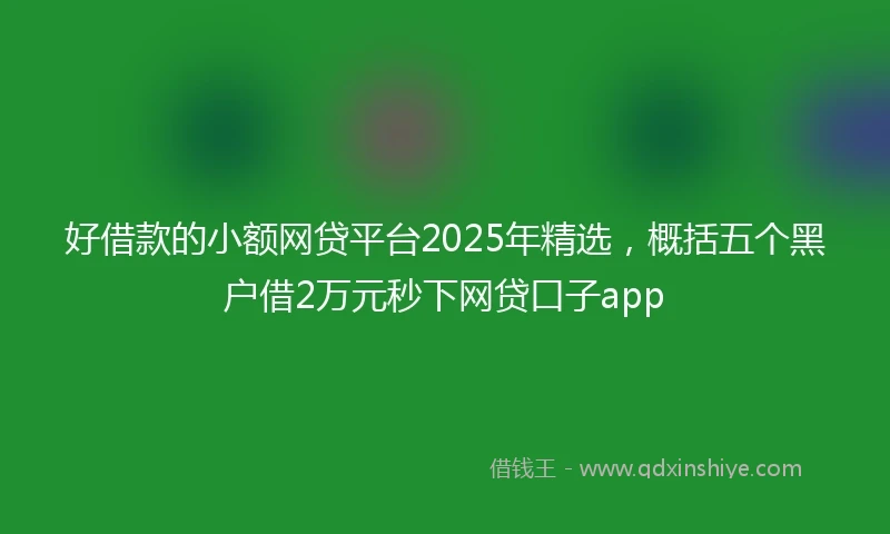 好借款的小额网贷平台2025年精选，概括五个黑户借2万元秒下网贷口子app