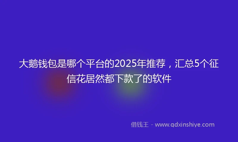 大鹅钱包是哪个平台的2025年推荐，汇总5个征信花居然都下款了的软件