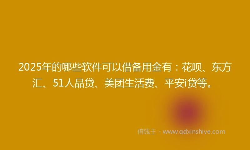 2025年的哪些软件可以借备用金有：花呗、东方汇、51人品贷、美团生活费、平安i贷等。