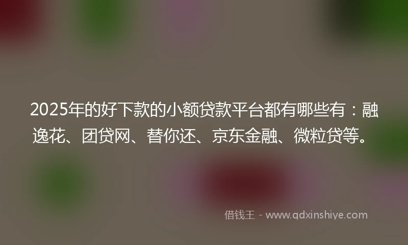 2025年的好下款的小额贷款平台都有哪些有：融逸花、团贷网、替你还、京东金融、微粒贷等。