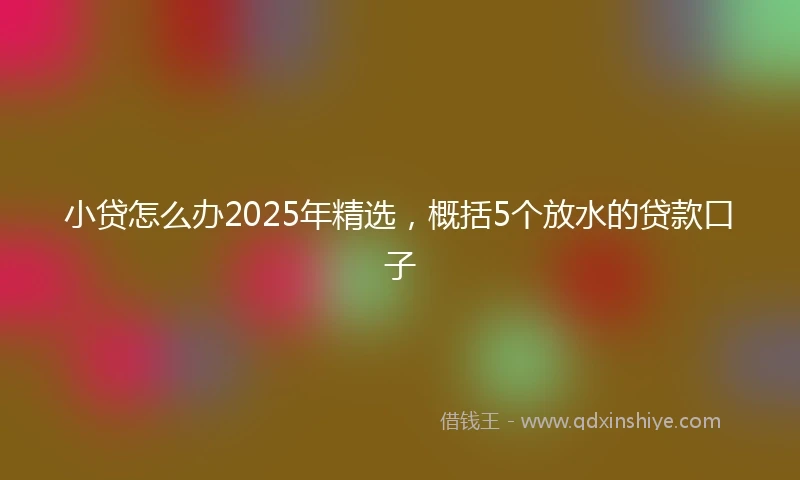 小贷怎么办2025年精选，概括5个放水的贷款口子