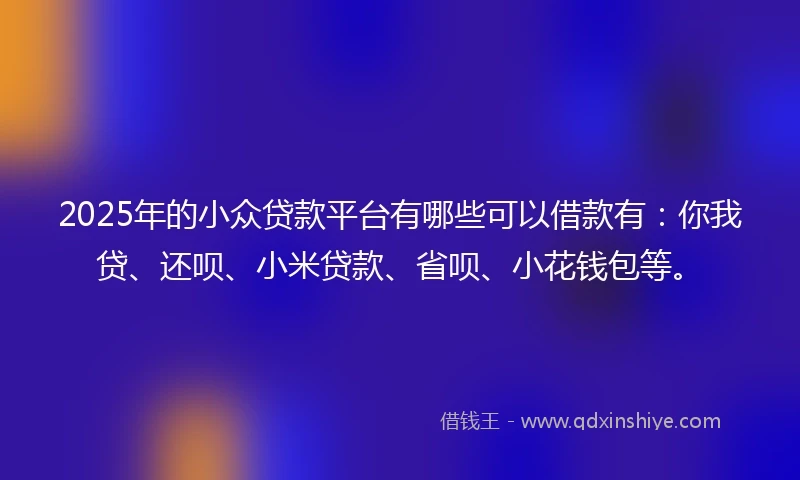 2025年的小众贷款平台有哪些可以借款有：你我贷、还呗、小米贷款、省呗、小花钱包等。