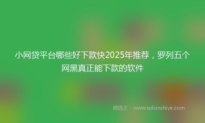 小网贷平台哪些好下款快2025年推荐，罗列五个网黑真正能下款的软件