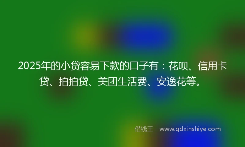 2025年的小贷容易下款的口子有：花呗、信用卡贷、拍拍贷、美团生活费、安逸花等。