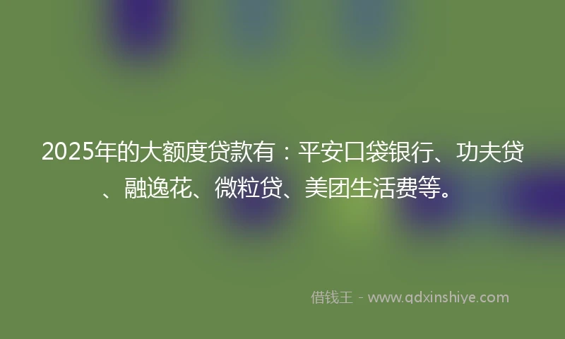 2025年的大额度贷款有：平安口袋银行、功夫贷、融逸花、微粒贷、美团生活费等。