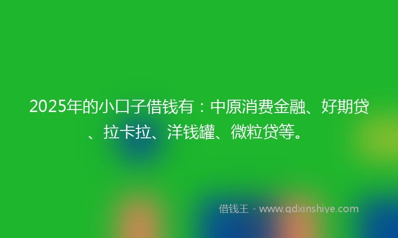 2025年的小口子借钱有：中原消费金融、好期贷、拉卡拉、洋钱罐、微粒贷等。