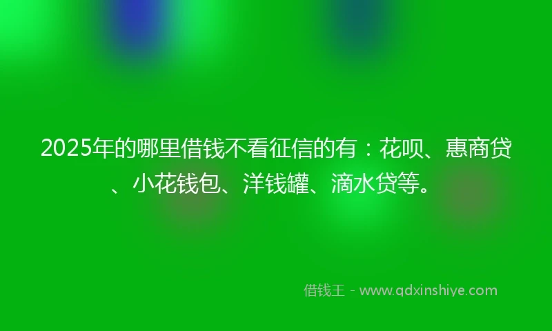 2025年的哪里借钱不看征信的有：花呗、惠商贷、小花钱包、洋钱罐、滴水贷等。