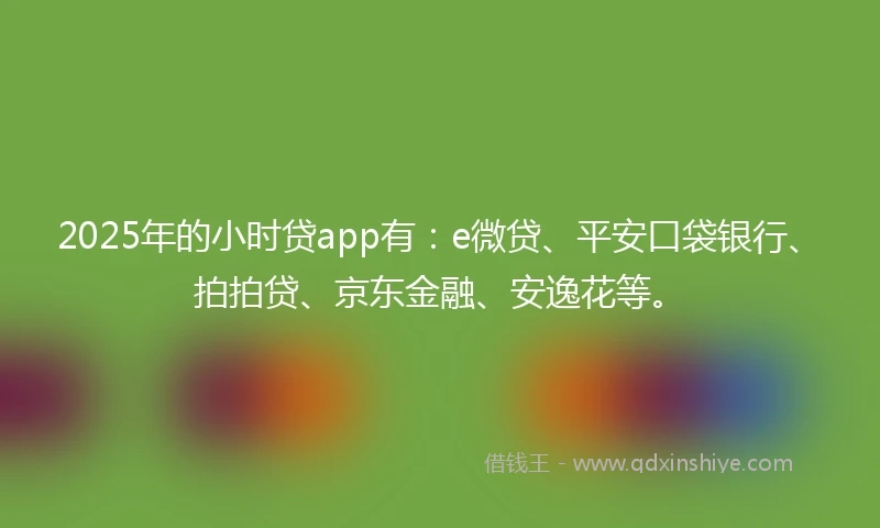 2025年的小时贷app有：e微贷、平安口袋银行、拍拍贷、京东金融、安逸花等。
