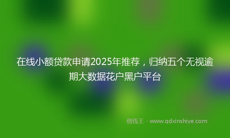 在线小额贷款申请2025年推荐，归纳五个无视逾期大数据花户黑户平台