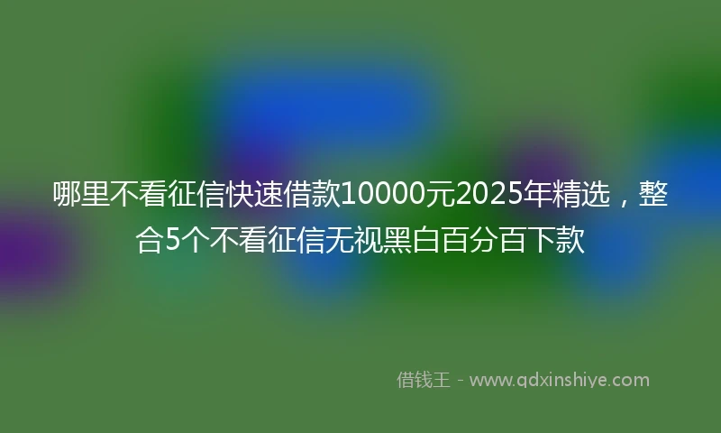哪里不看征信快速借款10000元2025年精选，整合5个不看征信无视黑白百分百下款