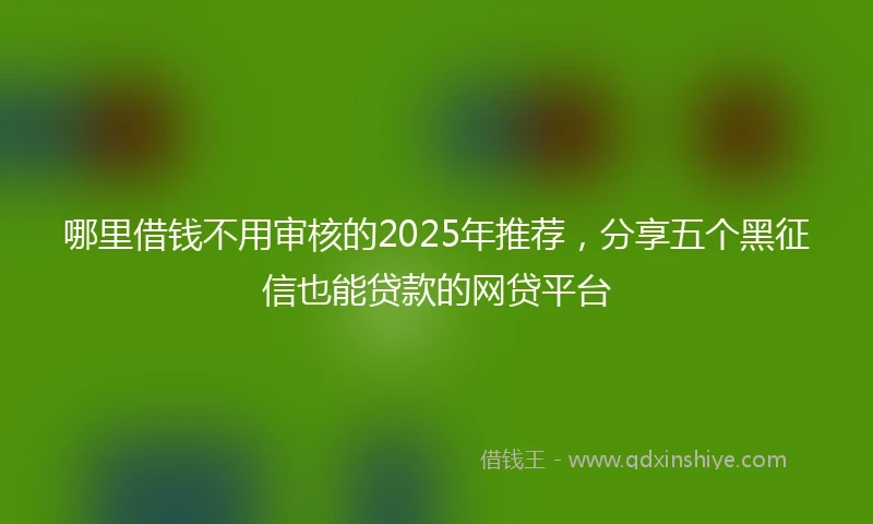 哪里借钱不用审核的2025年推荐，分享五个黑征信也能贷款的网贷平台