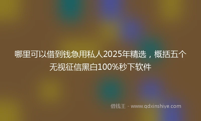 哪里可以借到钱急用私人2025年精选，概括五个无视征信黑白100%秒下软件