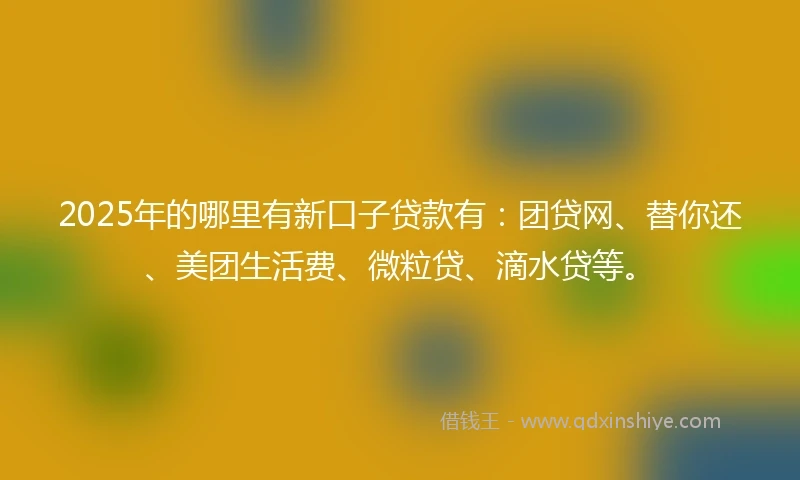 2025年的哪里有新口子贷款有：团贷网、替你还、美团生活费、微粒贷、滴水贷等。