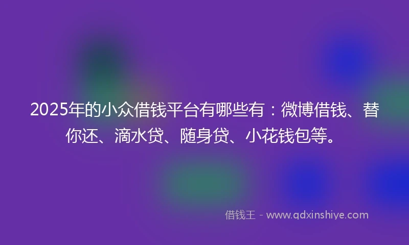 2025年的小众借钱平台有哪些有：微博借钱、替你还、滴水贷、随身贷、小花钱包等。