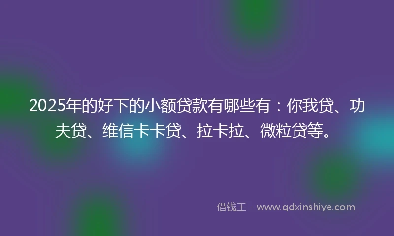 2025年的好下的小额贷款有哪些有：你我贷、功夫贷、维信卡卡贷、拉卡拉、微粒贷等。