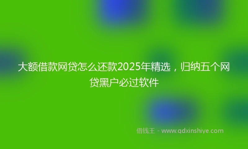 大额借款网贷怎么还款2025年精选,归纳五个网贷黑户必过软件