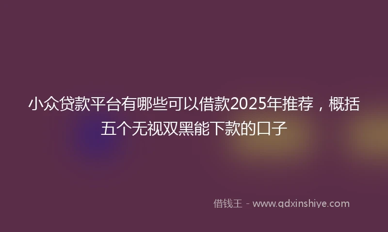 小众贷款平台有哪些可以借款2025年推荐，概括五个无视双黑能下款的口子