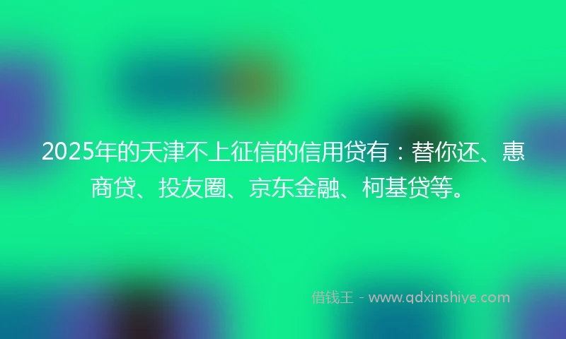 2025年的天津不上征信的信用贷有：替你还、惠商贷、投友圈、京东金融、柯基贷等。