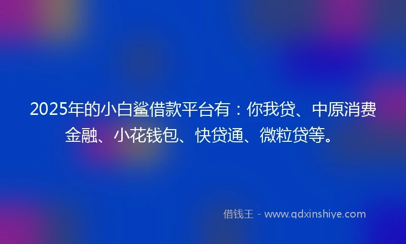 2025年的小白鲨借款平台有：你我贷、中原消费金融、小花钱包、快贷通、微粒贷等。