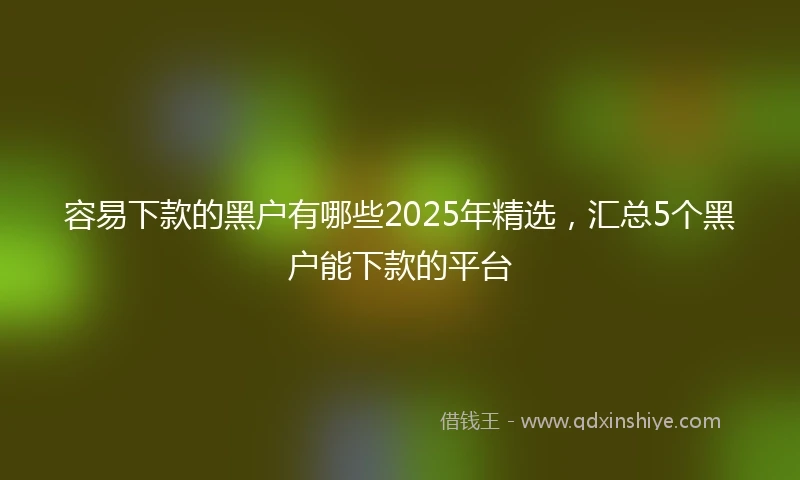 容易下款的黑户有哪些2025年精选，汇总5个黑户能下款的平台