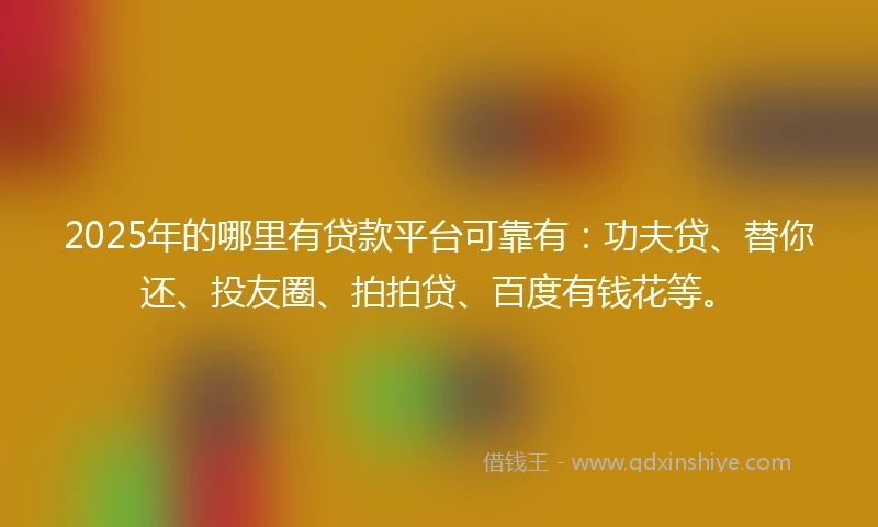 2025年的哪里有贷款平台可靠有：功夫贷、替你还、投友圈、拍拍贷、百度有钱花等。