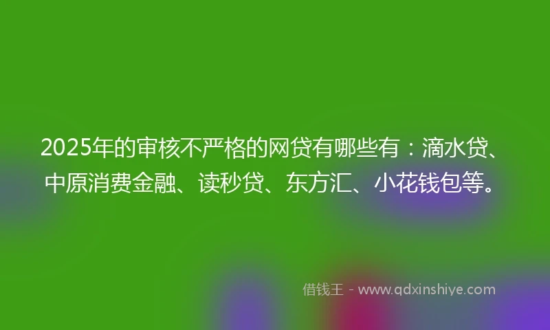 2025年的审核不严格的网贷有哪些有：滴水贷、中原消费金融、读秒贷、东方汇、小花钱包等。