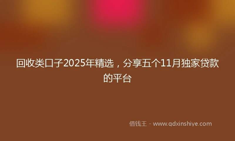 回收类口子2025年精选，分享五个11月独家贷款的平台