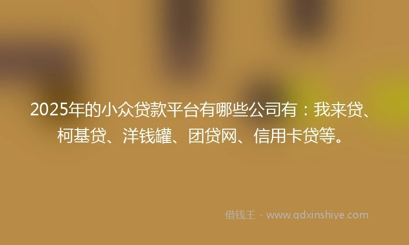 2025年的小众贷款平台有哪些公司有：我来贷、柯基贷、洋钱罐、团贷网、信用卡贷等。