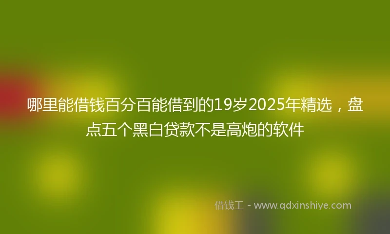 哪里能借钱百分百能借到的19岁2025年精选，盘点五个黑白贷款不是高炮的软件
