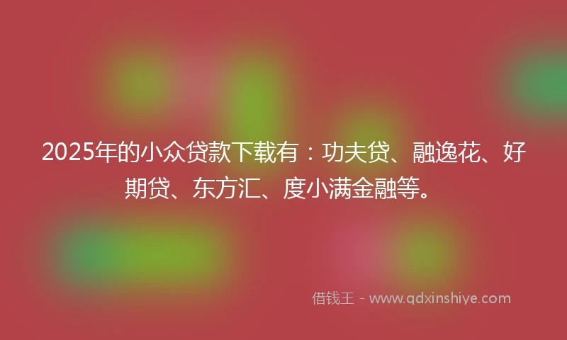 2025年的小众贷款下载有：功夫贷、融逸花、好期贷、东方汇、度小满金融等。