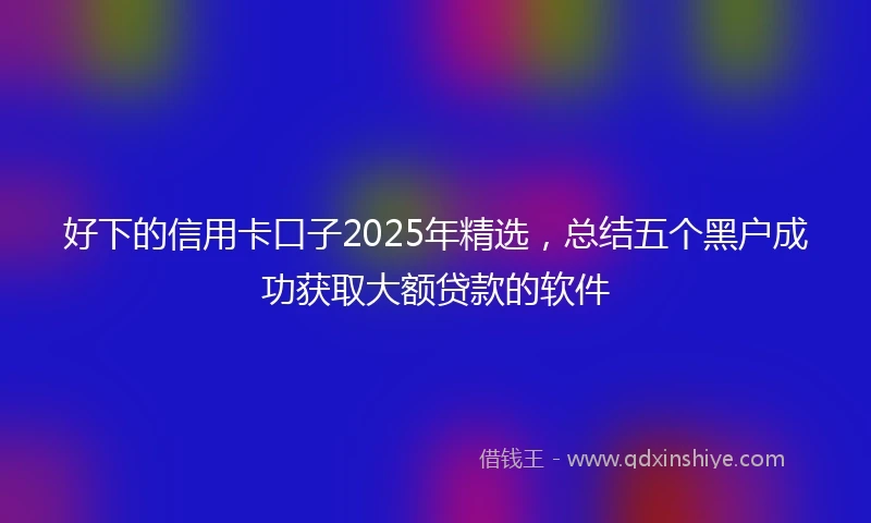 好下的信用卡口子2025年精选，总结五个黑户成功获取大额贷款的软件