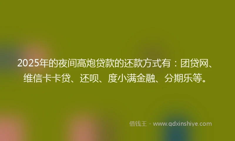 2025年的夜间高炮贷款的还款方式有：团贷网、维信卡卡贷、还呗、度小满金融、分期乐等。