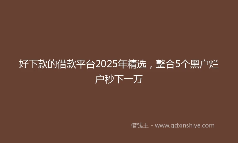 好下款的借款平台2025年精选，整合5个黑户烂户秒下一万