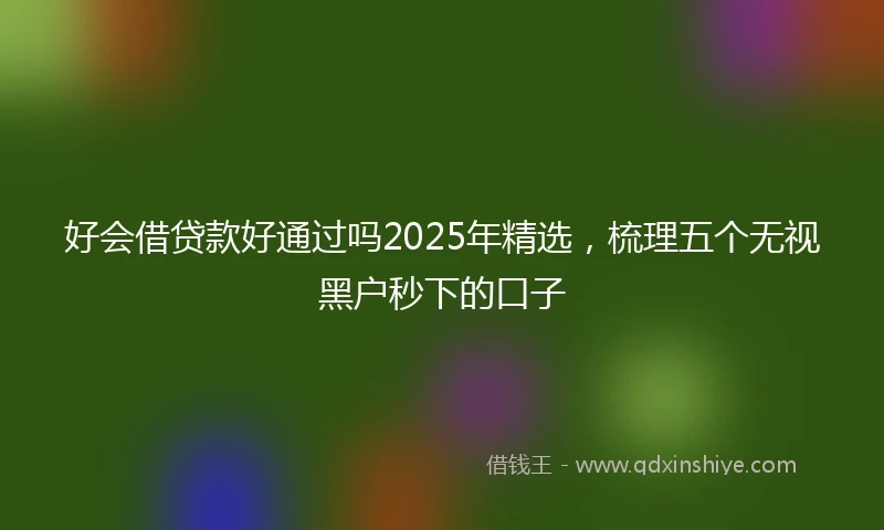 好会借贷款好通过吗2025年精选，梳理五个无视黑户秒下的口子