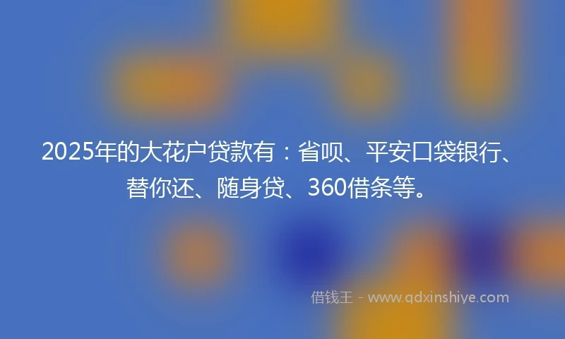 2025年的大花户贷款有：省呗、平安口袋银行、替你还、随身贷、360借条等。