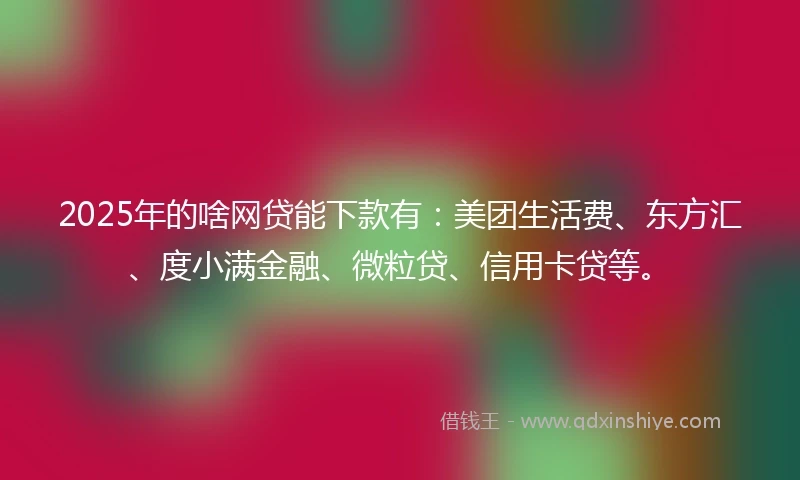2025年的啥网贷能下款有：美团生活费、东方汇、度小满金融、微粒贷、信用卡贷等。