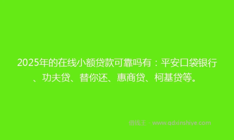 2025年的在线小额贷款可靠吗有：平安口袋银行、功夫贷、替你还、惠商贷、柯基贷等。