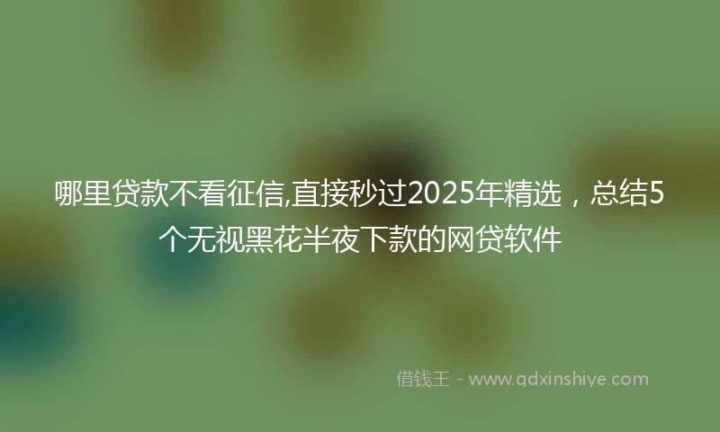 哪里贷款不看征信,直接秒过2025年精选,总结5个无视黑花半夜下款的网贷软件