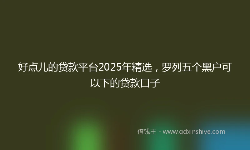 好点儿的贷款平台2025年精选，罗列五个黑户可以下的贷款口子