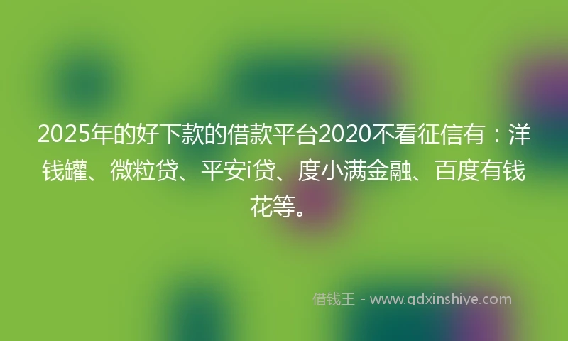 2025年的好下款的借款平台2020不看征信有：洋钱罐、微粒贷、平安i贷、度小满金融、百度有钱花等。