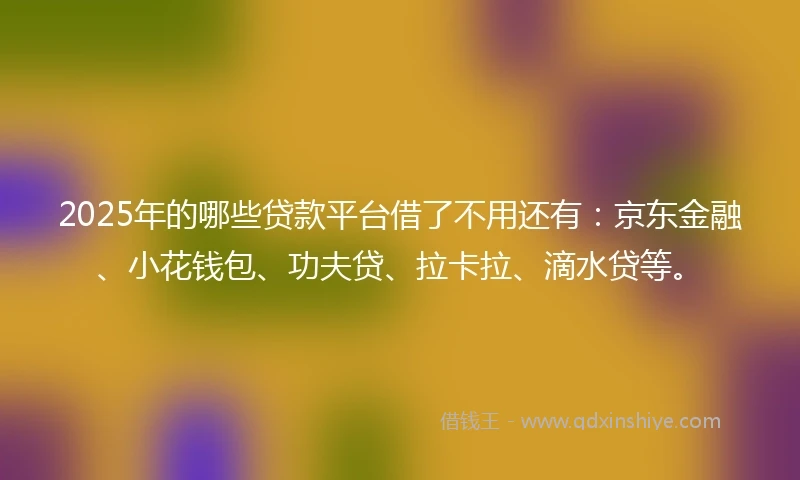 2025年的哪些贷款平台借了不用还有：京东金融、小花钱包、功夫贷、拉卡拉、滴水贷等。