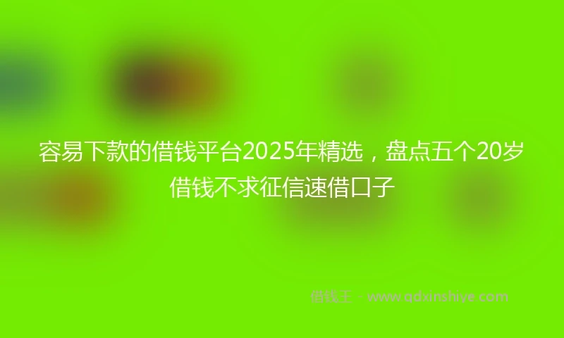 容易下款的借钱平台2025年精选，盘点五个20岁借钱不求征信速借口子