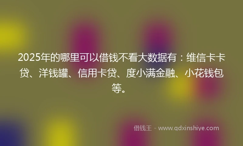 2025年的哪里可以借钱不看大数据有：维信卡卡贷、洋钱罐、信用卡贷、度小满金融、小花钱包等。