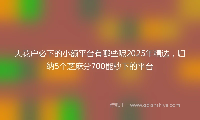 大花户必下的小额平台有哪些呢2025年精选，归纳5个芝麻分700能秒下的平台