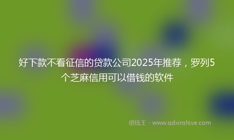 好下款不看征信的贷款公司2025年推荐，罗列5个芝麻信用可以借钱的软件